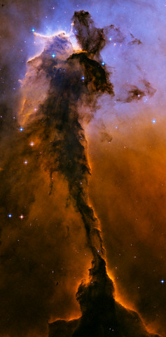 Nebula Adler